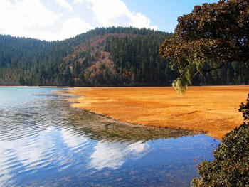 Lukisan Pemandangan Tasik