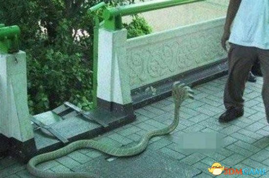 Jinsiy orgiya uchun mebel Bobolar cunnilingus porno